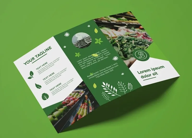 bố cục bìa catalog ấn tượng