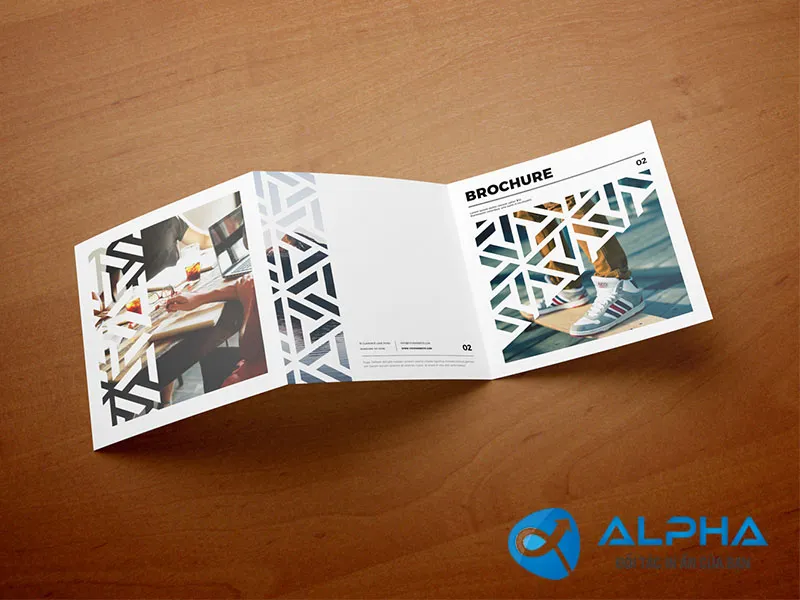 Các loại catalogue phổ biến