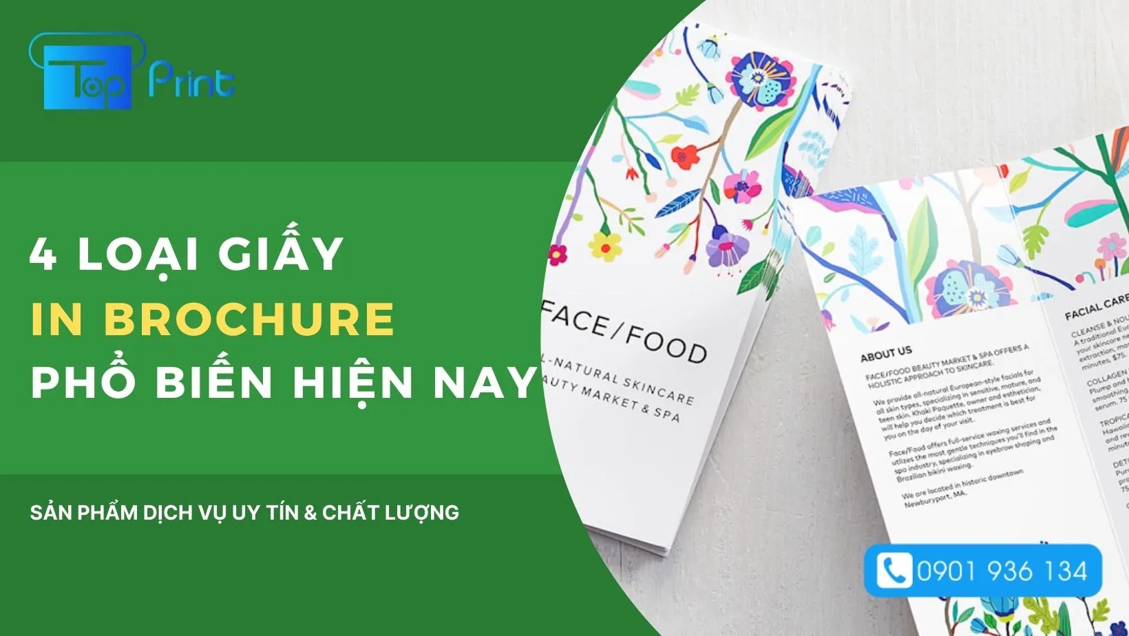 chất liệu giấy in brochure