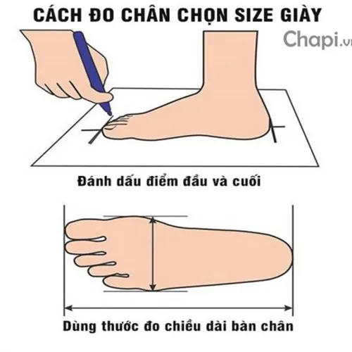 giấy a4 và thước kẻ