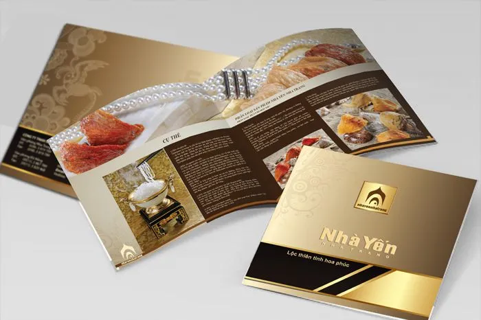 giấy áo trong in catalogue