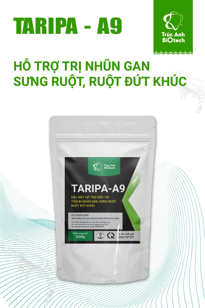 in catalogue a9