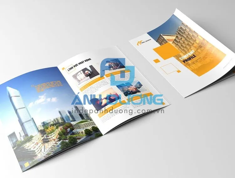 Mẫu Catalogue Chuyên Nghiệp