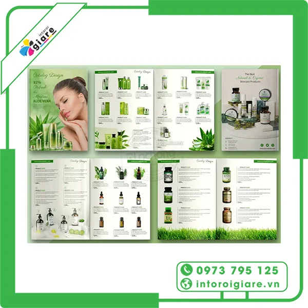 mẫu catalogue mỹ phẩm đẹp mắt