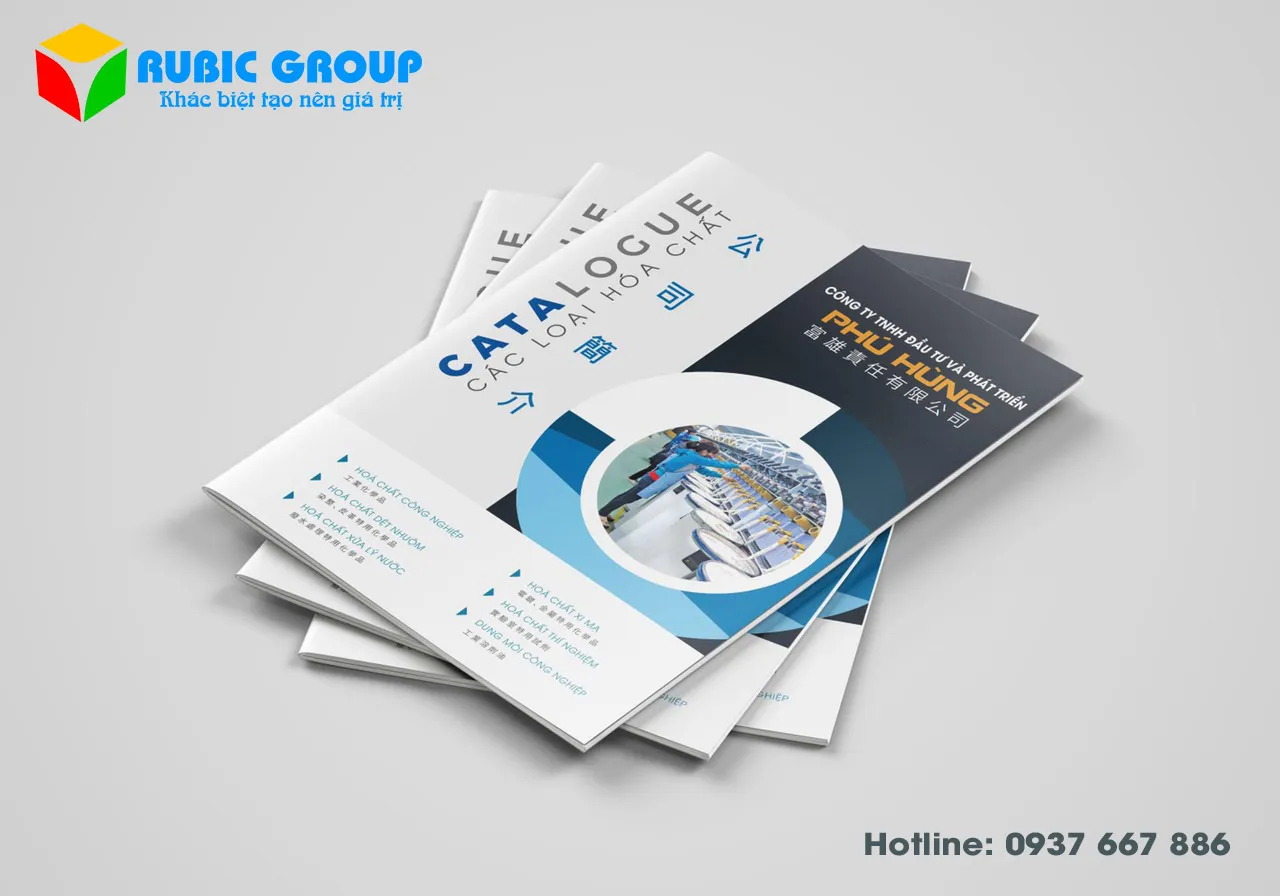 thiết kế catalogue chuyên nghiệp