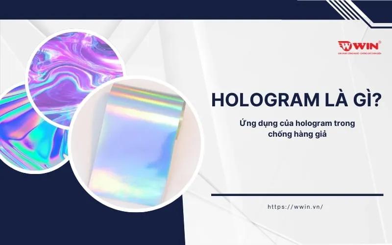 ứng dụng hologram in ấn